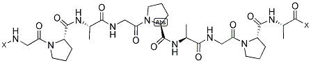 H(-GLY-PRO-ALA)N-OH POLYMER Struktur