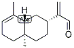 ALPHA-COSTAL Struktur