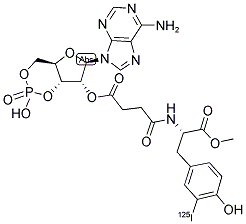 ADENOSINE 3',5'-CYCLIC PHOSPHORIC ACID 2'-O-SUCCINYL, [125I]-IODOTYROSINE METHYL ESTER Struktur