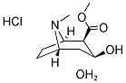 ECGONINE METHYL ESTER HYDROCHLORIDE: HYDRATE Struktur