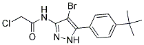 N1-(4-BROMO-5-[4-(TERT-BUTYL)PHENYL]-1H-PYRAZOL-3-YL)-2-CHLOROACETAMIDE Struktur