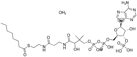 CAPRYLOYL COENZYME A MONOHYDRATE Struktur