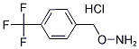 1-[(AMMONIOOXY)METHYL]-4-(TRIFLUOROMETHYL)BENZENE CHLORIDE Structure