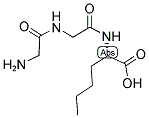H-GLY-GLY-NLE-OH Struktur