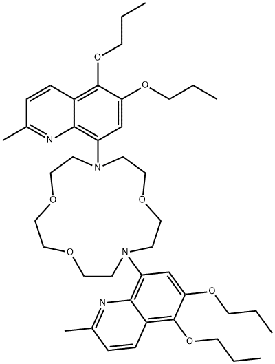 SQI-PR Struktur