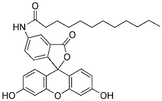 5-DODECANOYLAMINOFLUORESCEIN Struktur