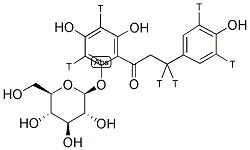 PHLORIZIN, [PHENYL-3,3',5,5'-3H, PROPANONE-3-3H]- Struktur