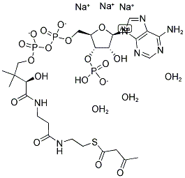 S-acetoacetylcoenzyme A Struktur