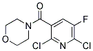 (2,6-DICHLORO-5-FLUOROPYRIDIN-3-YL)(MORPHOLINO)METHANONE, TECH Struktur