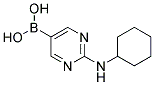 (2-CYCLOHEXYLAMINOPYRIMIDIN-5-YL)BORONIC ACID Struktur