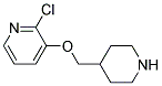 2-CHLORO-3-(4-PIPERIDINYLMETHOXY)PYRIDINE Struktur