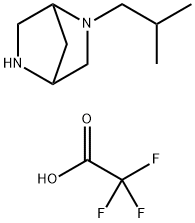 (1S,4S)-2-ISOBUTYL-2,5-DIAZA-BICYCLO[2.2.1]HEPTANE DI-TRIFLUORO-ACETIC ACID SALT Struktur