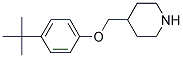 4-(TERT-BUTYL)PHENYL 4-PIPERIDINYLMETHYL ETHER Struktur