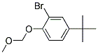 4-TERT-BUTYL-2-BROMO-1-(METHOXYMETHOXY)BENZENE Struktur