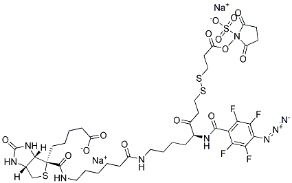 2-[N2-(4-AZIDO-2,3,5,6-TETRAFLUOROBENZOYL)-N6-(6 -BIOTINAMIDOCAPROYL)-L-LYSINYL]ETHYL 2'- (N-SULFOSUCCINIMIDYLCARBOXY)ETHYL DISULFIDE, SODIUM SALT Struktur