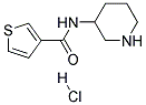 THIOPHENE-3-CARBOXYLICACIDPIPERIDIN-3-YLAMIDEHYDROCHLORIDE Struktur