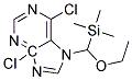 N-TRIMETHYLSILYL ETHOXY METHYL-4,6-DICHLORO PURINE Struktur