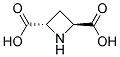 (2S,4S)-2,4-AZETIDINEDICARBOXYLIC ACID Struktur