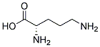 ANTI-ORNITHINE Struktur