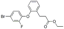 3-[2-(4-BROMO-2-FLUORO-PHENOXY)-PHENYL]-PROPIONIC ACID ETHYL ESTER