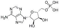 ANTI-ADENOSINE MONOPHOSPHATE Struktur