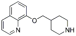 8-(4-PIPERIDINYLMETHOXY)QUINOLINE Struktur