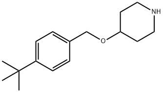 4-([4-(TERT-BUTYL)BENZYL]OXY)PIPERIDINE Struktur