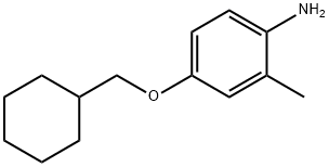 4-(CYCLOHEXYLMETHOXY)-2-METHYLANILINE Struktur