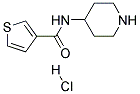 THIOPHENE-3-CARBOXYLICACIDPIPERIDIN-4-YLAMIDE HYDROCHLORIDE Struktur