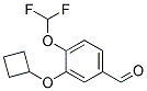 3-CYCLOBUTOXY-4-DIFLUOROMETHOXY-BENZALDEHYDE Struktur