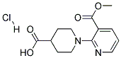 3,4,5,6-TETRAHYDRO-2H-[1,2']BIPYRIDINYL-4,3'-DICARBOXYLIC ACID 3'-METHYL ESTER HYDROCHLORIDE