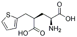 (2S,4R)-2-AMINO-4-THIOPHEN-2-YLMETHYL-PENTANEDIOIC ACID Struktur