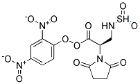 DAPOXYL(R) 3-SULFONAMIDOPROPIONIC ACID, SUCCINIMIDYL ESTER Struktur