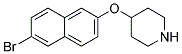 4-[(6-BROMO-2-NAPHTHYL)OXY]PIPERIDINE Struktur