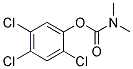 N,N-DIMETHYL-2,4,5-TRICHLOROPHENYL CARBAMATE Struktur