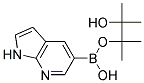 7-AZAINDOLE-5-BORONIC ACID PINACOL ESTER Structure