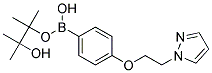 4-[2-(1H-Pyrazol-1-yl)ethoxy]benzeneboronic acid, pinacol ester Struktur