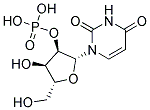 Uridine-2'-Phosphoric Acid Struktur