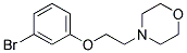 4-[2-(3-BROMOPHENOXY)ETHYL]MORPHOLIN Struktur