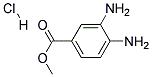 Methyl 3,4-diaminobenzoate hydrochloride Struktur