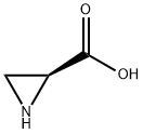 L-2-aziridinecarboxylic acid Struktur