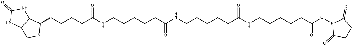 N-BIOTINYLCAPROYLAMINOCAPROYLAMINOCAPROYL N-HYDROXYSUCCINIMIDE Struktur