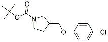 3-(4-Chloro-phenoxymethyl)-pyrrolidine-1-carboxylic acid tert-butyl ester Struktur