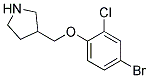 3-(4-Bromo-2-chloro-phenoxymethyl)-pyrrolidine Struktur