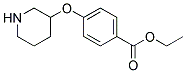 4-(Piperidin-3-yloxy)-benzoic acid ethyl ester Struktur