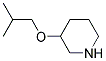 3-(2-methylpropoxy)piperidine Struktur