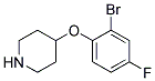 4-(2-Bromo-4-fluoro-phenoxy)-piperidine Struktur