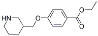 4-(Piperidin-3-ylmethoxy)-benzoic acid ethyl ester Struktur