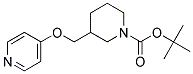 3-(Pyridin-4-yloxymethyl)-piperidine-1-carboxylic acid tert-butyl ester Struktur