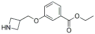 3-(Azetidin-3-ylmethoxy)-benzoic acid ethyl ester Struktur